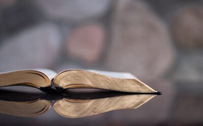 9 Reasons Why Believers Must Prophesy